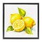 Stupell Industries Lemon Harvest Fruits Framed Floater Canvas Wall Art Design by Andrea Haase